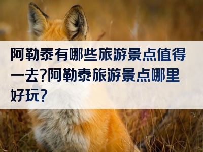 阿勒泰有哪些旅游景点值得一去？阿勒泰旅游景点哪里好玩？