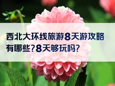 西北大环线旅游8天游攻略有哪些？8天够玩吗？
