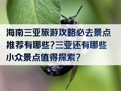 海南三亚旅游攻略必去景点推荐有哪些？三亚还有哪些小众景点值得探索？