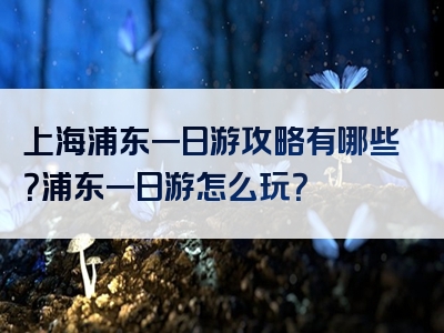上海浦东一日游攻略有哪些？浦东一日游怎么玩？