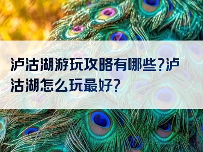 泸沽湖游玩攻略有哪些？泸沽湖怎么玩最好？