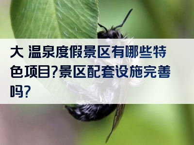 大汖温泉度假景区有哪些特色项目？景区配套设施完善吗？