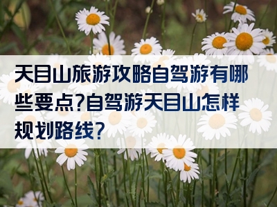 天目山旅游攻略自驾游有哪些要点？自驾游天目山怎样规划路线？