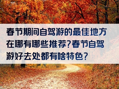 春节期间自驾游的最佳地方在哪有哪些推荐？春节自驾游好去处都有啥特色？