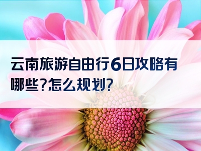 云南旅游自由行6日攻略有哪些？怎么规划？