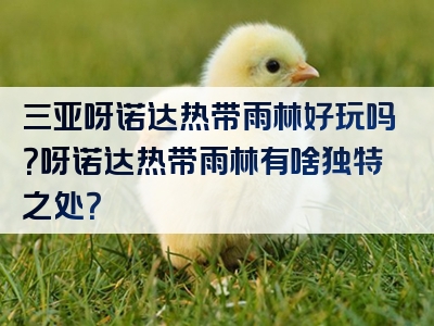 三亚呀诺达热带雨林好玩吗？呀诺达热带雨林有啥独特之处？