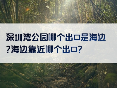 深圳湾公园哪个出口是海边？海边靠近哪个出口？