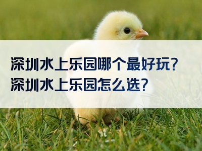 深圳水上乐园哪个最好玩？深圳水上乐园怎么选？