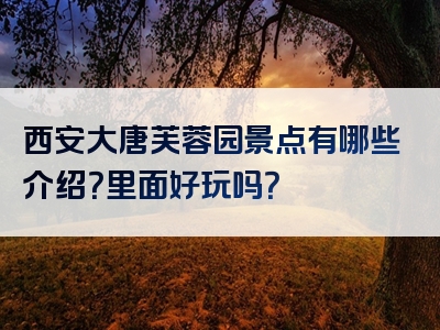 西安大唐芙蓉园景点有哪些介绍？里面好玩吗？