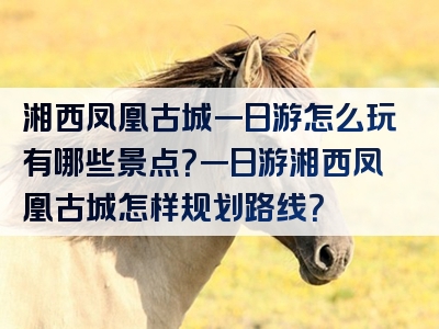 湘西凤凰古城一日游怎么玩有哪些景点？一日游湘西凤凰古城怎样规划路线？