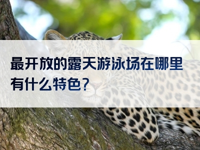 最开放的露天游泳场在哪里有什么特色？