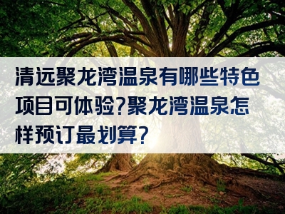 清远聚龙湾温泉有哪些特色项目可体验？聚龙湾温泉怎样预订最划算？