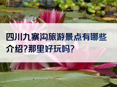 四川九寨沟旅游景点有哪些介绍？那里好玩吗？