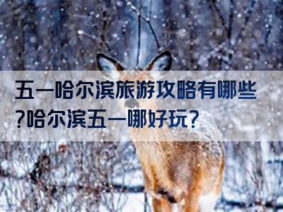 五一哈尔滨旅游攻略有哪些？哈尔滨五一哪好玩？