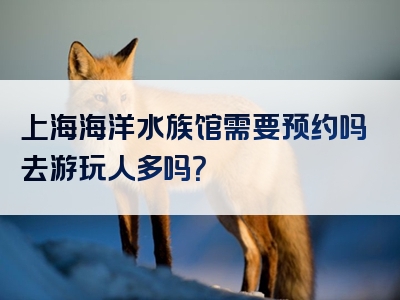 上海海洋水族馆需要预约吗去游玩人多吗？