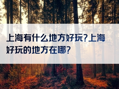 上海有什么地方好玩？上海好玩的地方在哪？