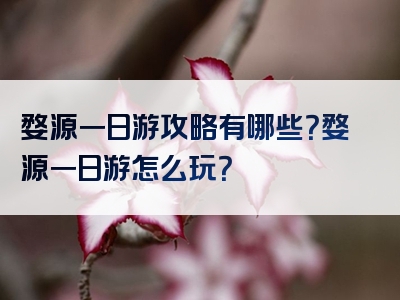 婺源一日游攻略有哪些？婺源一日游怎么玩？