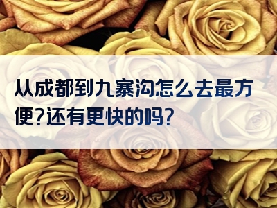 从成都到九寨沟怎么去最方便？还有更快的吗？