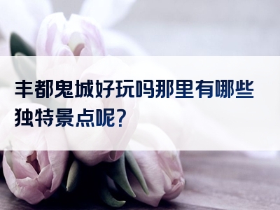 丰都鬼城好玩吗那里有哪些独特景点呢？
