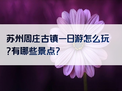 苏州周庄古镇一日游怎么玩？有哪些景点？