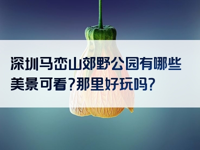 深圳马峦山郊野公园有哪些美景可看？那里好玩吗？