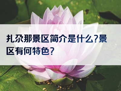 扎尕那景区简介是什么？景区有何特色？