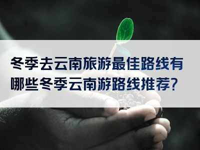 冬季去云南旅游最佳路线有哪些冬季云南游路线推荐？