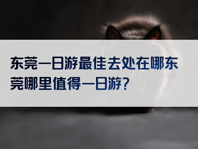东莞一日游最佳去处在哪东莞哪里值得一日游？