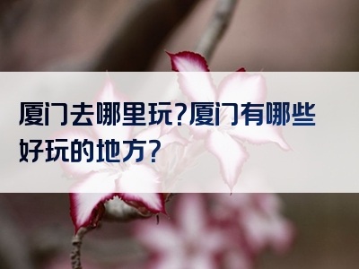 厦门去哪里玩？厦门有哪些好玩的地方？