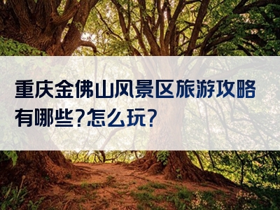 重庆金佛山风景区旅游攻略有哪些？怎么玩？