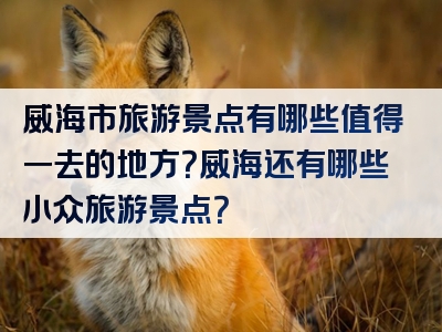 威海市旅游景点有哪些值得一去的地方？威海还有哪些小众旅游景点？