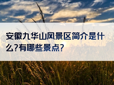 安徽九华山风景区简介是什么？有哪些景点？