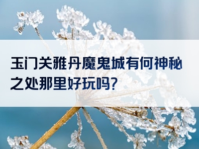 玉门关雅丹魔鬼城有何神秘之处那里好玩吗？