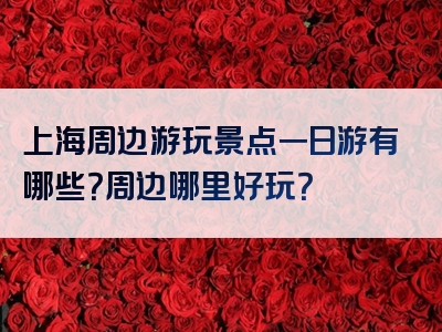 上海周边游玩景点一日游有哪些？周边哪里好玩？