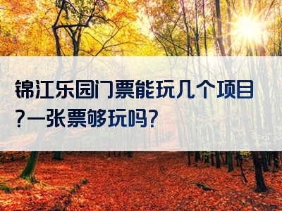 锦江乐园门票能玩几个项目？一张票够玩吗？