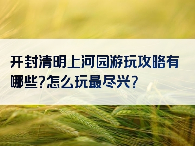 开封清明上河园游玩攻略有哪些？怎么玩最尽兴？