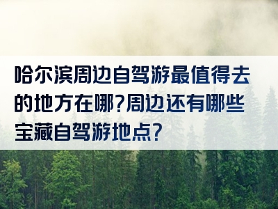 哈尔滨周边自驾游最值得去的地方在哪？周边还有哪些宝藏自驾游地点？