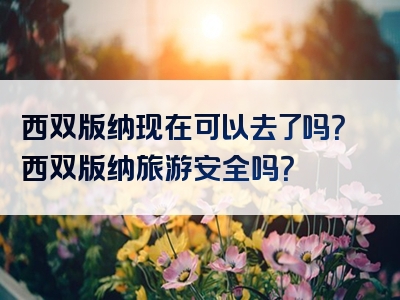 西双版纳现在可以去了吗？西双版纳旅游安全吗？