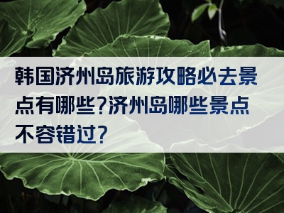 韩国济州岛旅游攻略必去景点有哪些？济州岛哪些景点不容错过？