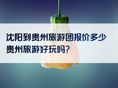 沈阳到贵州旅游团报价多少贵州旅游好玩吗？