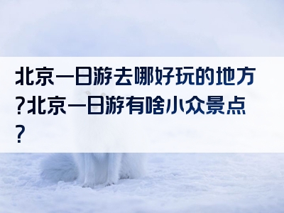 北京一日游去哪好玩的地方？北京一日游有啥小众景点？