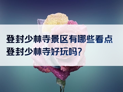 登封少林寺景区有哪些看点登封少林寺好玩吗？