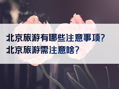 北京旅游有哪些注意事项？北京旅游需注意啥？