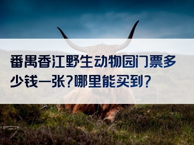 番禺香江野生动物园门票多少钱一张？哪里能买到？
