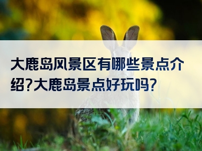 大鹿岛风景区有哪些景点介绍？大鹿岛景点好玩吗？