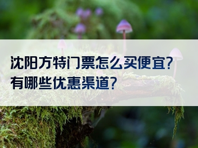 沈阳方特门票怎么买便宜？有哪些优惠渠道？
