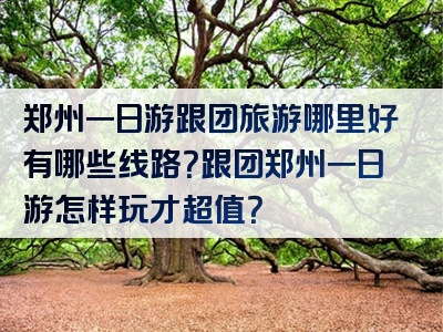 郑州一日游跟团旅游哪里好有哪些线路？跟团郑州一日游怎样玩才超值？