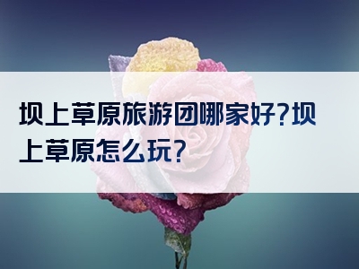 坝上草原旅游团哪家好？坝上草原怎么玩？