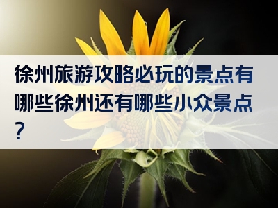 徐州旅游攻略必玩的景点有哪些徐州还有哪些小众景点？