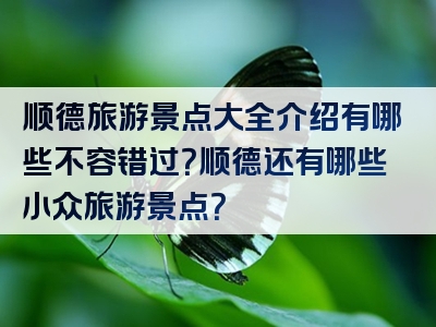 顺德旅游景点大全介绍有哪些不容错过？顺德还有哪些小众旅游景点？